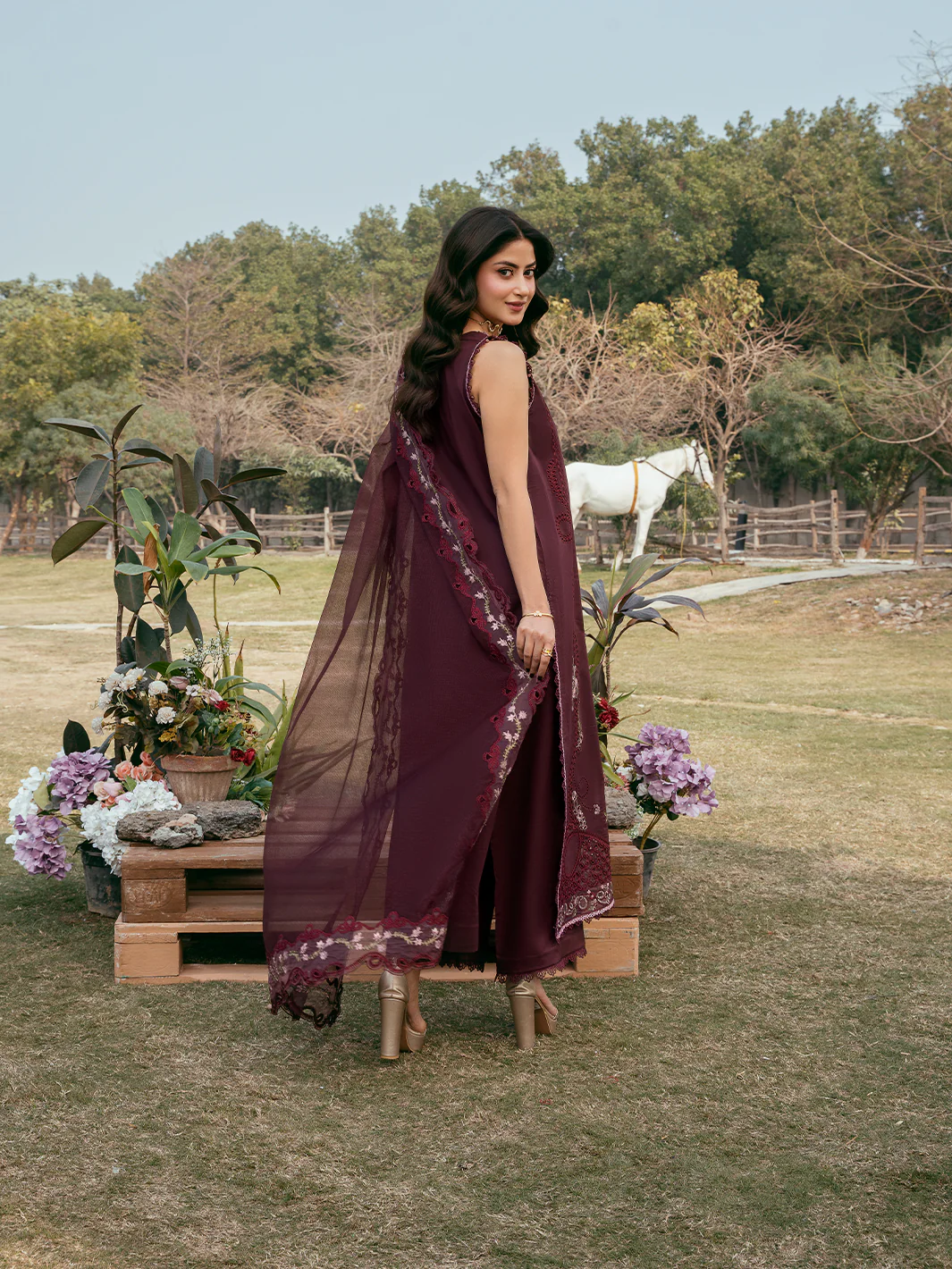 Anaya - Image 3