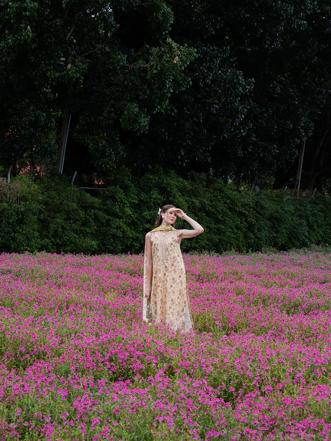 Aven - Image 2