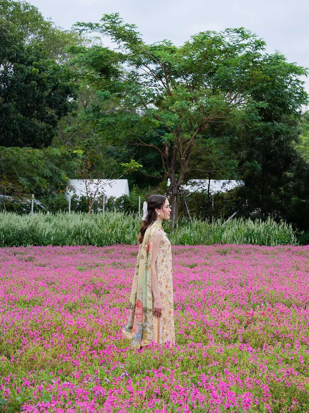 Aven - Image 4