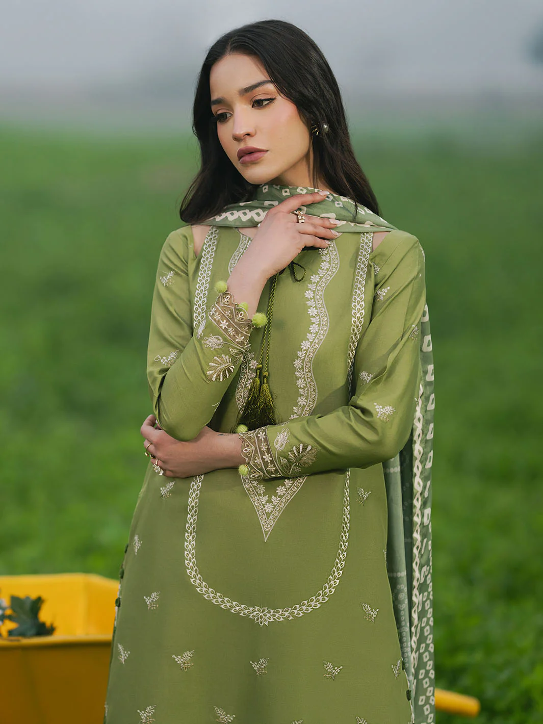 NAEEV - Image 4