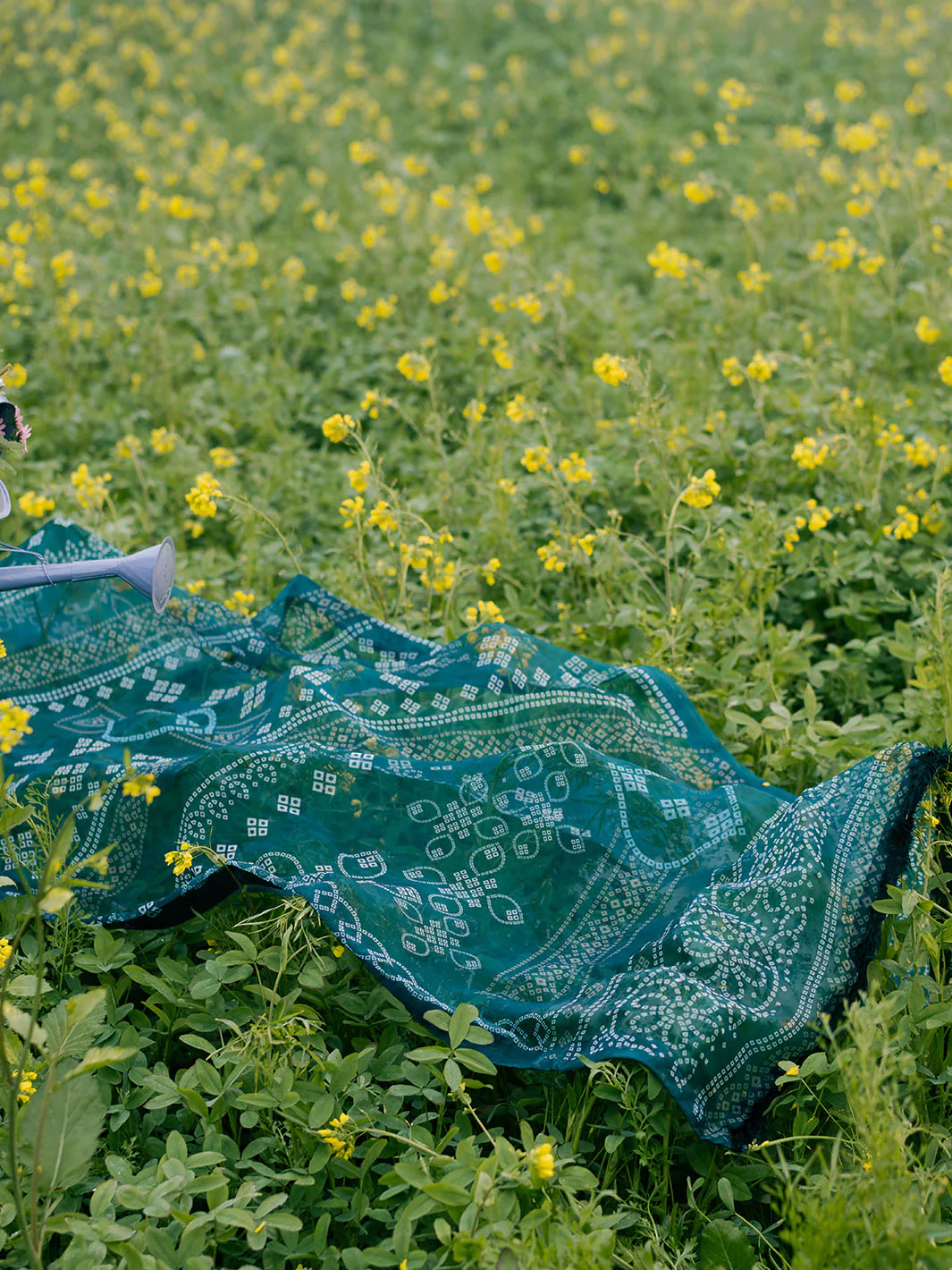 NAZNEEN - Image 4