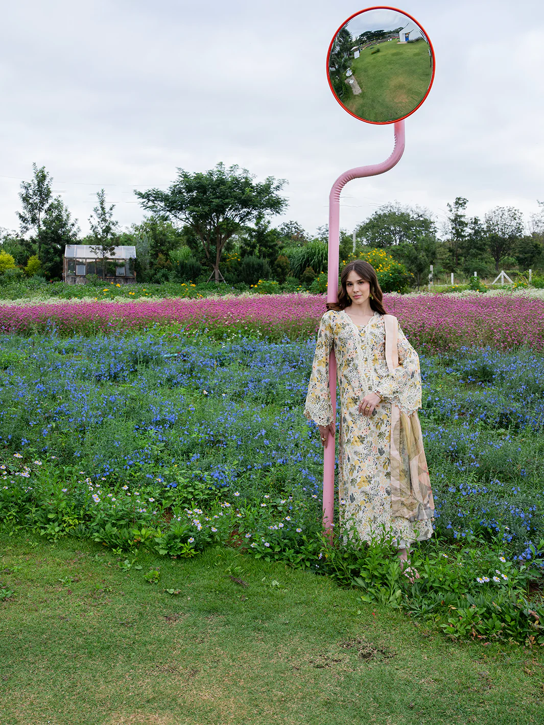 Orchid - Image 7